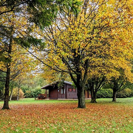 Pinecroft Lodges Ingleton  Eksteriør billede