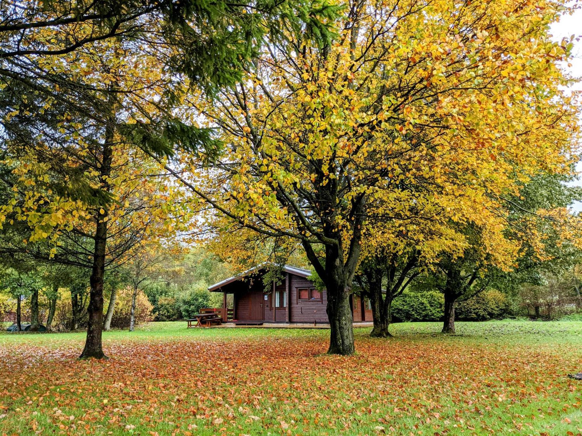 Pinecroft Lodges Ingleton  Eksteriør billede
